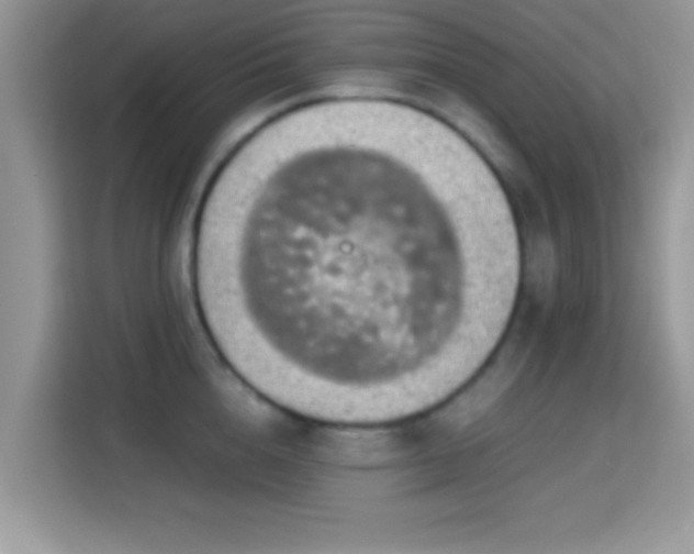 X0000115340856200911091304