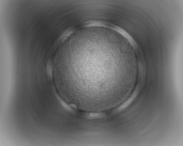 X0000115340857200911091304