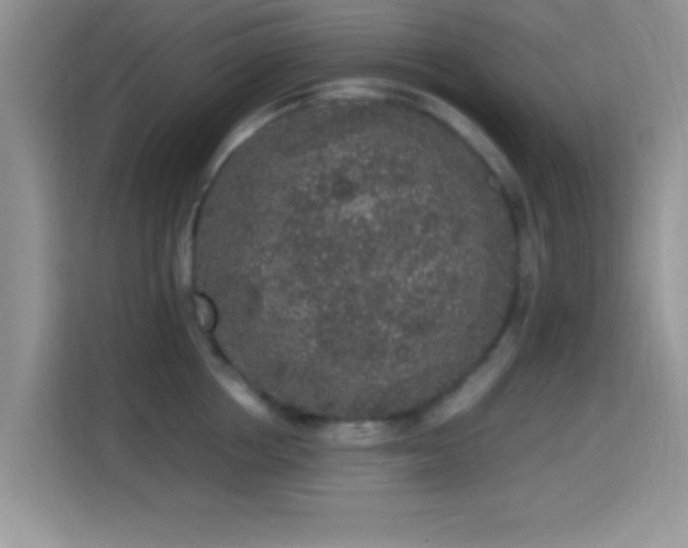 X0000115340858200911091304