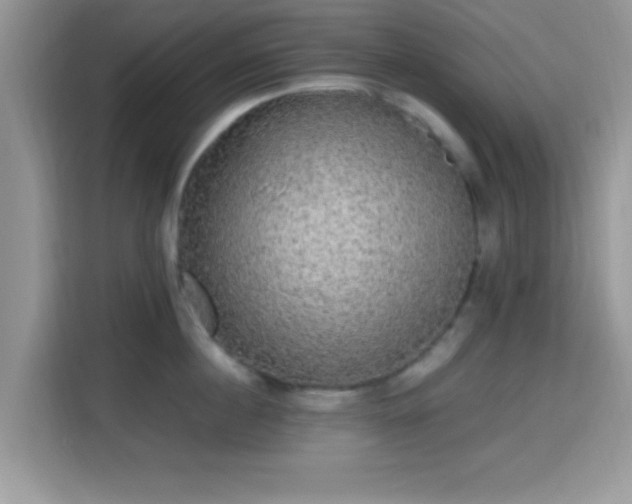 X0000115340860200911091304