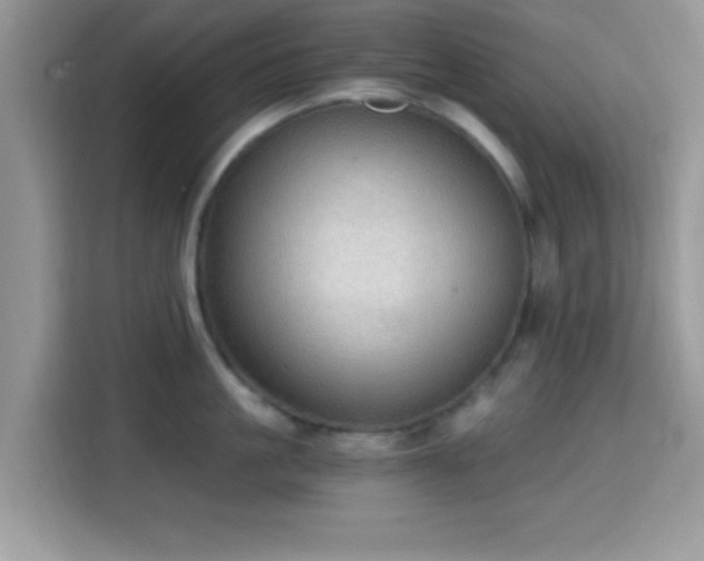 X0000115340861200911091304