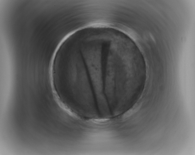 X0000115340864200911091304