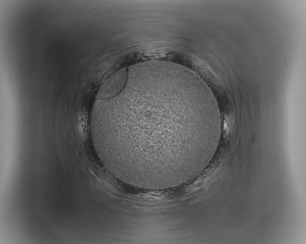X0000115340867200911091303