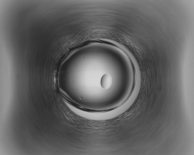 X0000115340868200911091303
