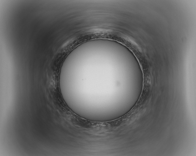 X0000115340869200911091303