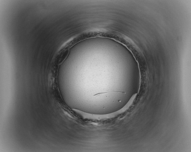 X0000115340872200911091303