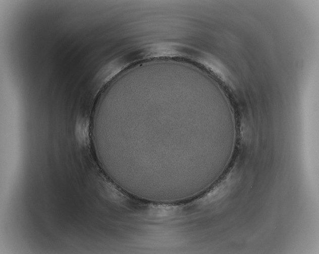 X0000115340873200911091303