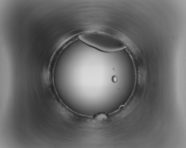 X0000115340876200911091303