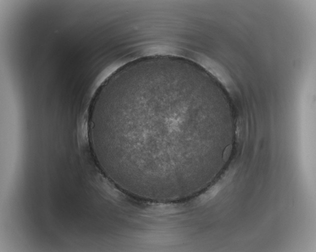 X0000115340877200911091303