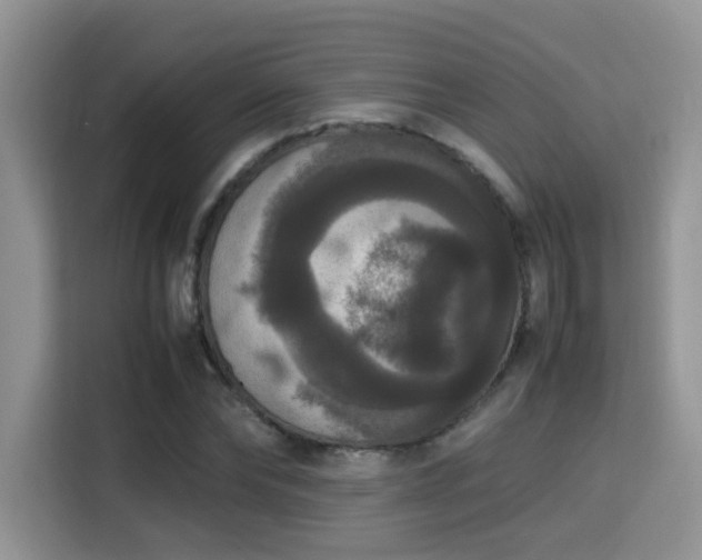 X0000115340878200911091303
