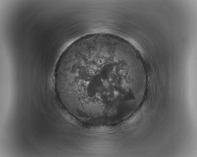 X0000115340879200911091303