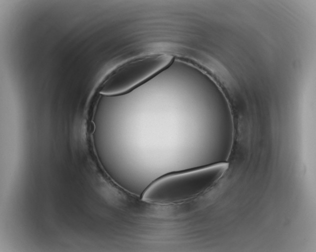 X0000115340880200911091303