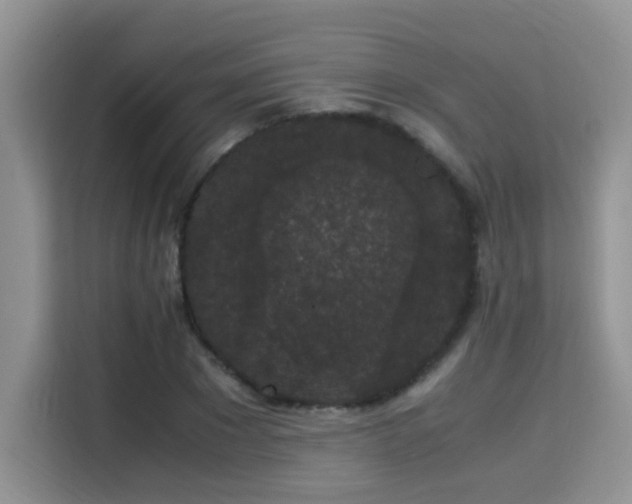 X0000115340881200911091303