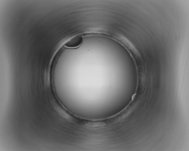 X0000115340884200911091303