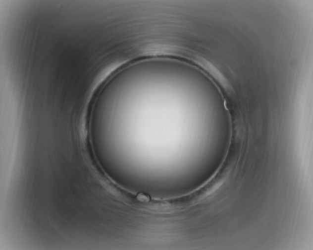 X0000115340885200911091303