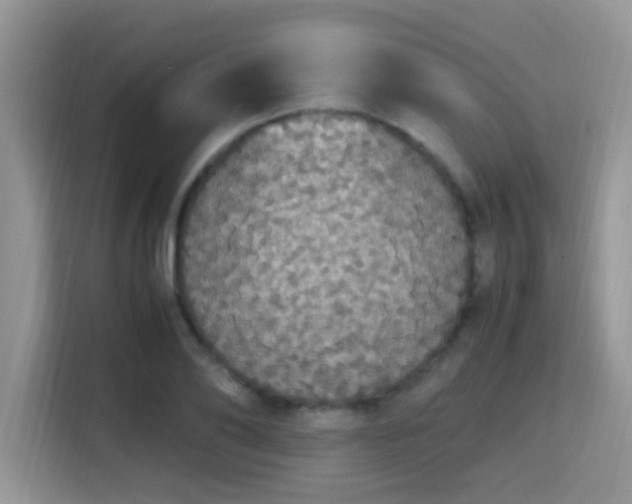 X0000115340886200911091303