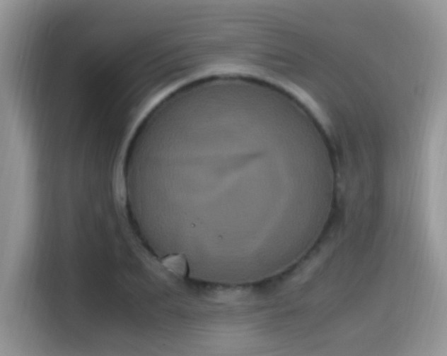 X0000115340887200911091303