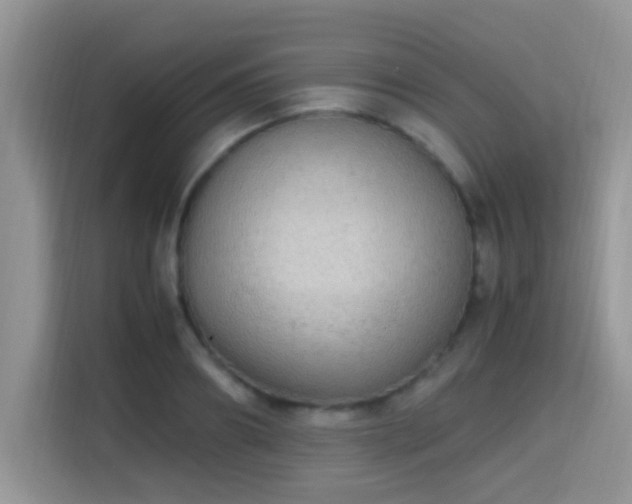 X0000115340890200911091303