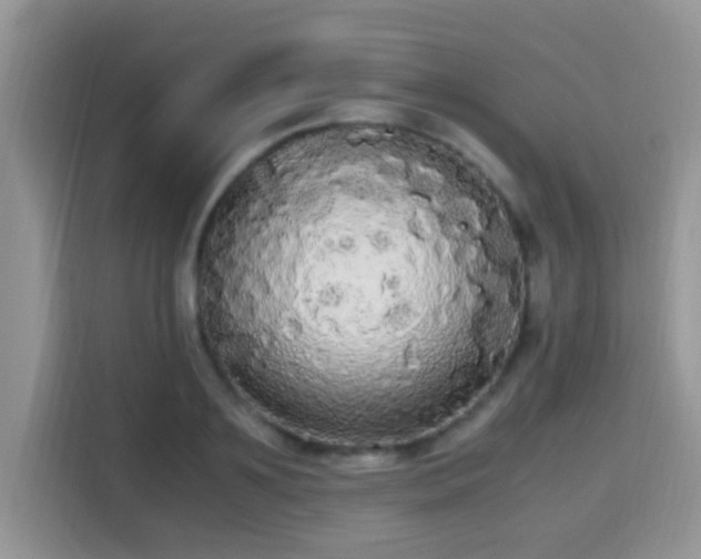 X0000115340891200911091303