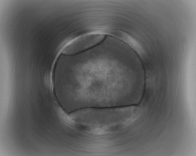 X0000115340892200911091303