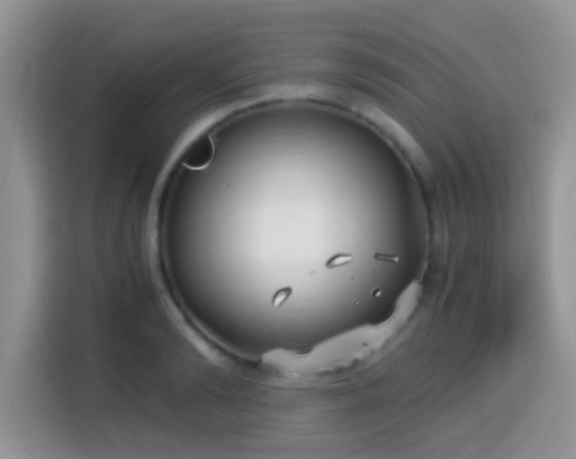 X0000115340894200911091303