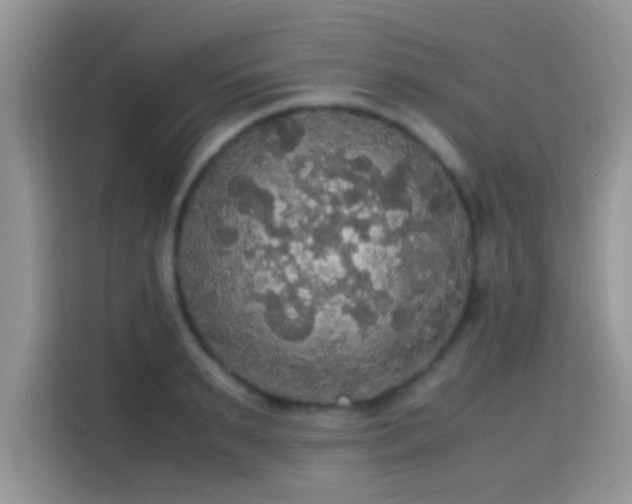 X0000115340895200911091303