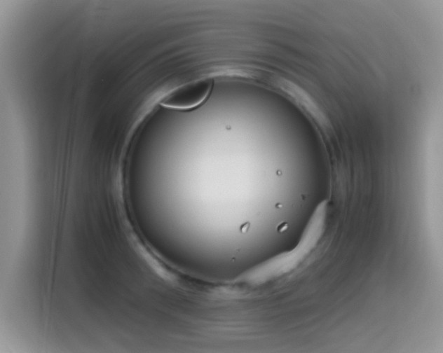 X0000115340898200911091303