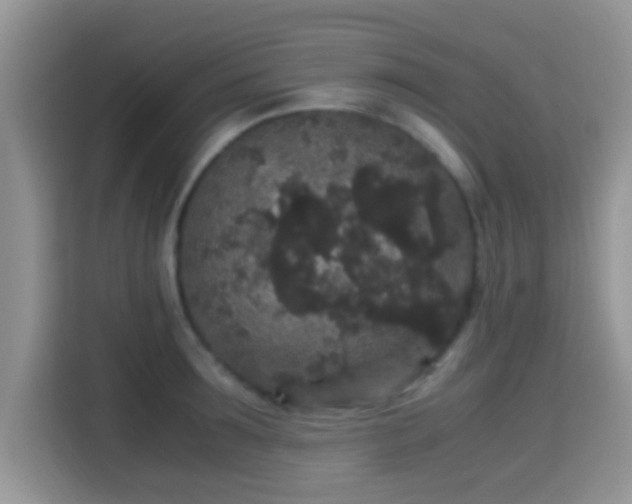 X0000115340899200911091303