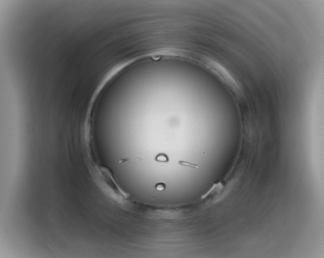 X0000115340900200911091303