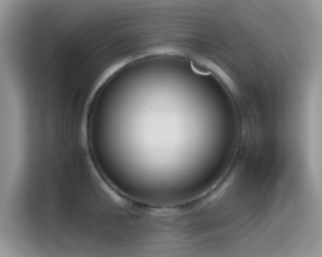 X0000115340902200911091303