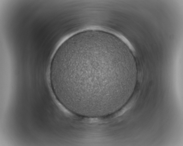 X0000115340903200911091303