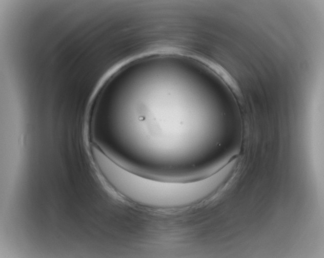 X0000115340904200911091303