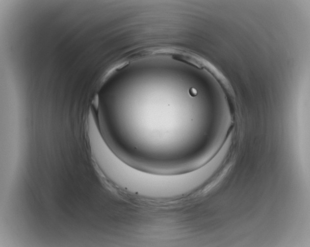X0000115340905200911091303