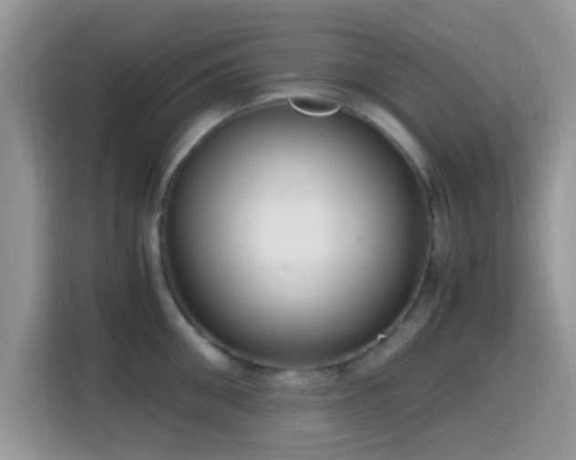 X0000115340906200911091302