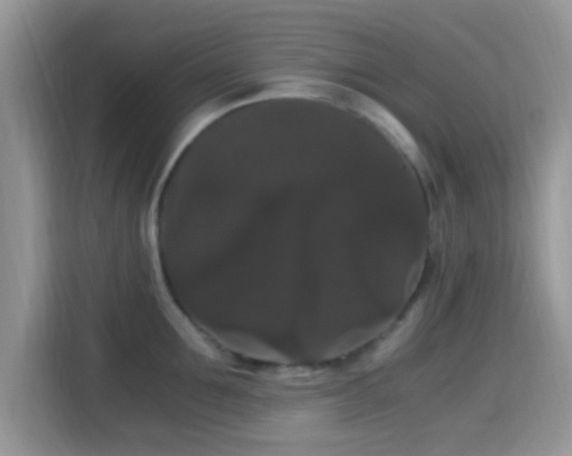 X0000115340907200911091302