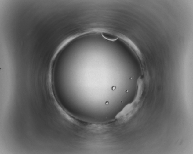 X0000115340910200911091302