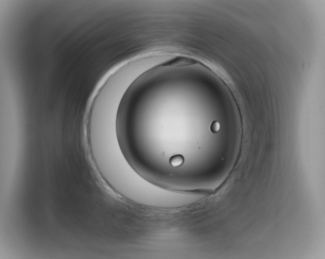 X0000115340912200911091302
