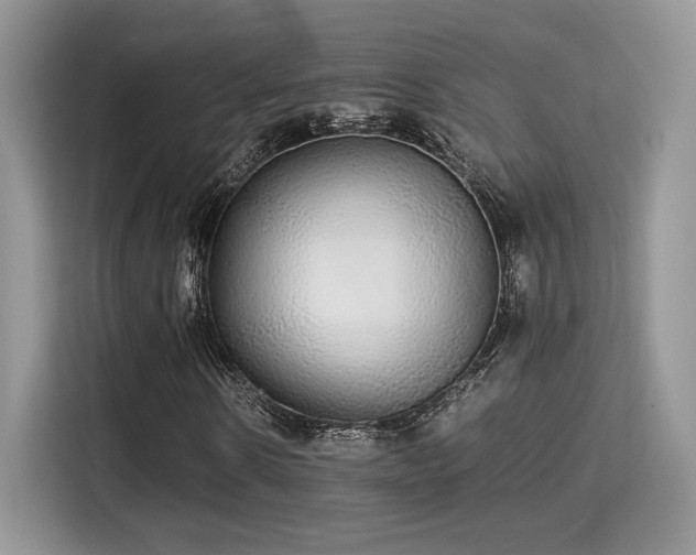 X0000115340914200911091302