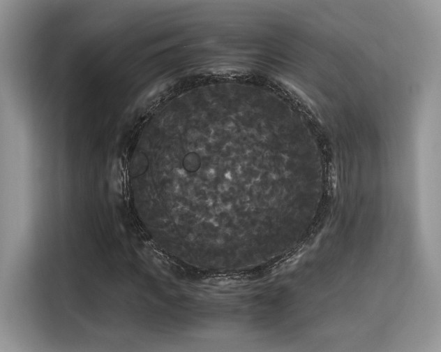 X0000115340917200911091302