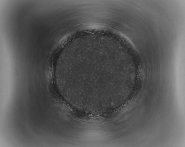 X0000115340918200911091302