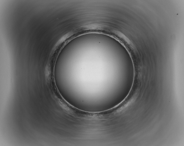 X0000115340922200911091302