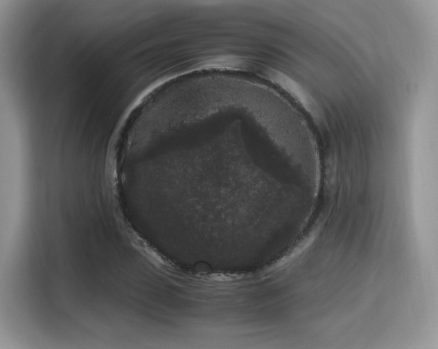 X0000115340923200911091302