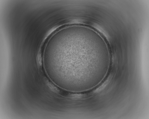 X0000115340925200911091302