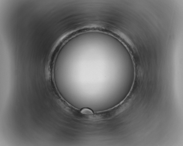 X0000115340927200911091302