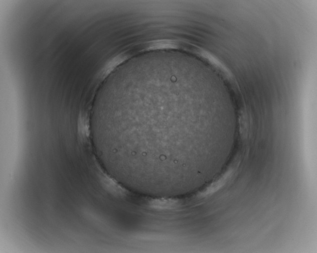 X0000115340929200911091302