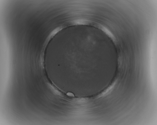 X0000115340930200911091302