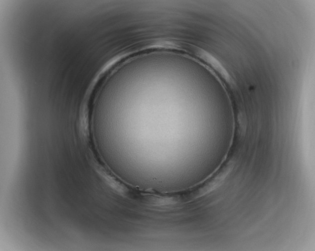 X0000115340931200911091302