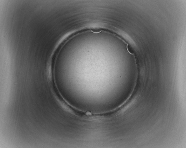 X0000115340934200911091302
