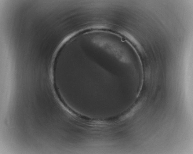 X0000115340935200911091302