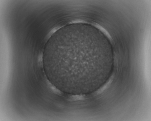 X0000115340937200911091302